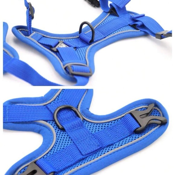 Dog harness and leash - Picture 2 of 6